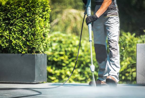 Best Dumpster Area Cleaning  in Morton, IL
